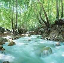 تنگ گنجه‌ای، چشم انداز بینظیری از شاهکار طبیعت