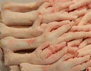 معجزه پای مرغ