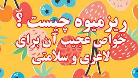ریزمیوه و خرید آن