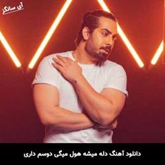 نگین قلبمی مجید رضوی