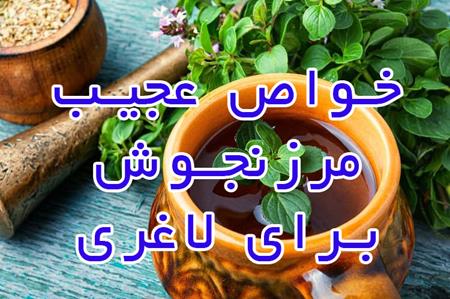 مرزنجوش و لاغری