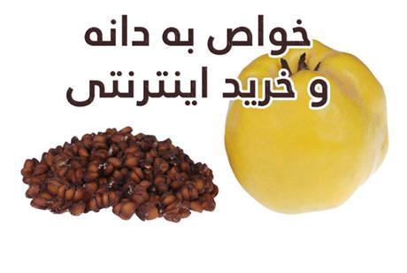 خرید اینترنتی به دانه