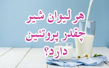 هر لیوان شیر چقدر پروتئین دارد؟