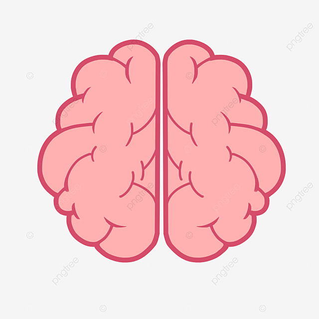 اگر این نشانه ها را دارید شما فردی با روحیه خلاق هستید؟