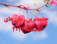 جدیدترین رمانهای عاشقانه 2022